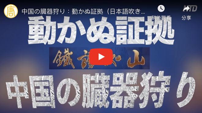 中国の臓器狩り：動かぬ証拠（日本語吹き替え版）鐵證如山　ドキュメンタリー【動画】
