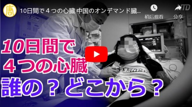 10日間で４つの心臓 中国のオンデマンド臓器移植【禁聞】