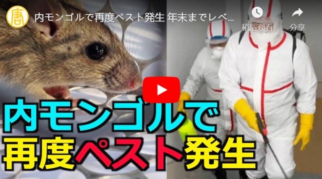 内モンゴルで再度ペスト発生 年末までレベル3の警報発動【動画】