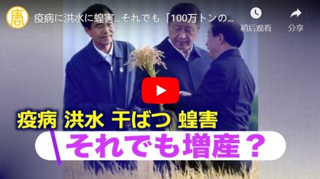疫病に洪水に蝗害…それでも「100万トンの増産」を宣言する中共政府【禁聞】【動画】