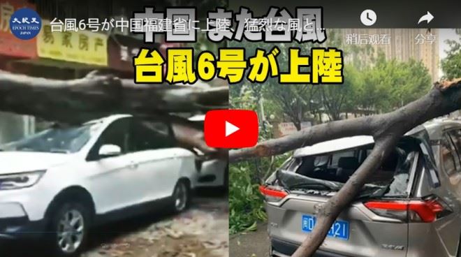 台風6号が中国福建省に上陸、猛烈な風と豪雨、大量な車が潰された。