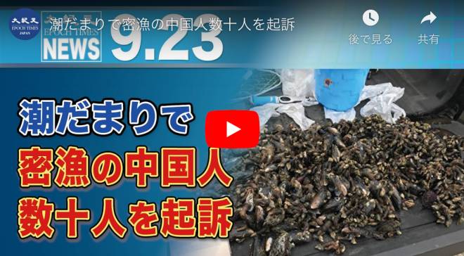 潮だまりで密漁の中国人数十人を起訴