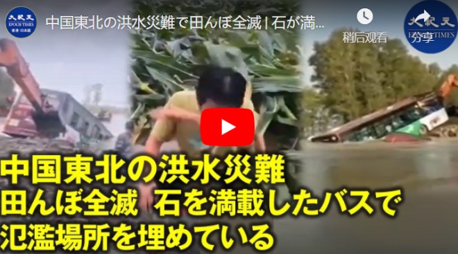 中国東北の洪水災難で田んぼ全滅 | 石が満載したバスで 氾濫場所を埋めている【動画】