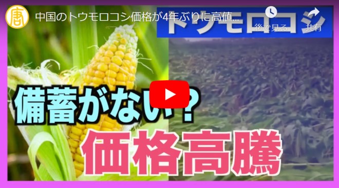 中国のトウモロコシ価格が4年ぶりに高値　物価指数も上昇【動画】