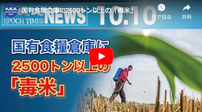 国有食糧倉庫に2500トン以上の「毒米」【動画】