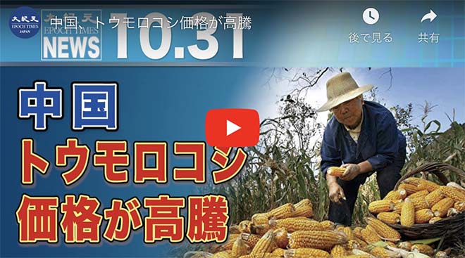 中国、トウモロコシ価格が高騰