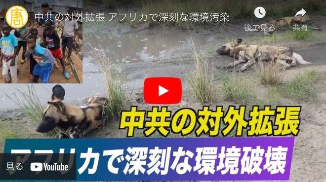 中共の対外拡張 アフリカで深刻な環境汚染