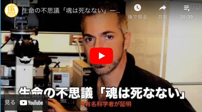 生命の不思議「魂は死なない」ー米有名科学者が証明 | 修煉 | 人体の不思議