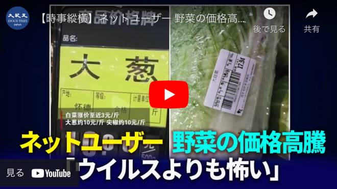 【時事縱橫】ネットユーザー 野菜の価格高騰「ウイルスよりも怖い」