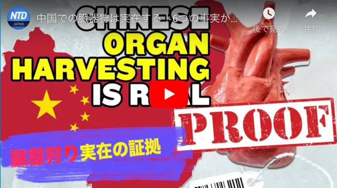 中国での臓器狩は実在する！6つの事実から検証する【チャイナ・アンセンサード】