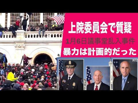議会警備に関する質疑「情報部門からの連絡の途絶は大混乱を招いた」