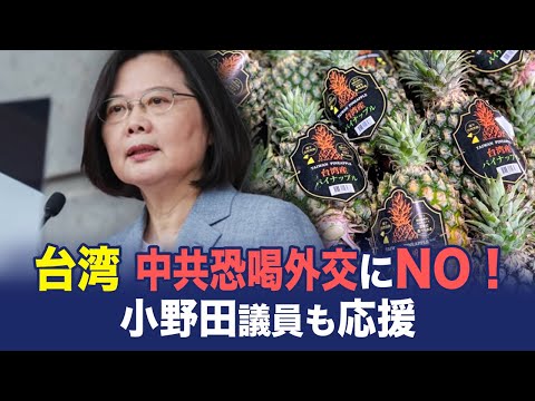 【China Insider】台湾 中共恐喝外交にNO！小野田議員も応援【動画】