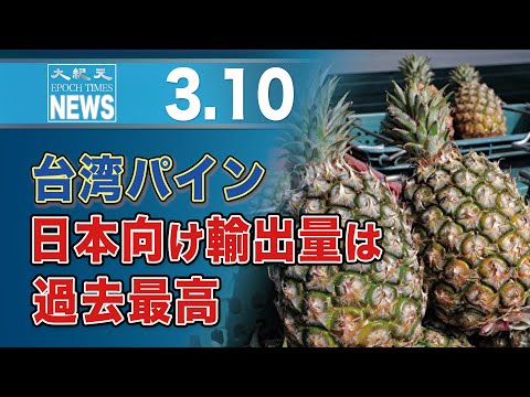 台湾パイン、日本向け輸出量は過去最高