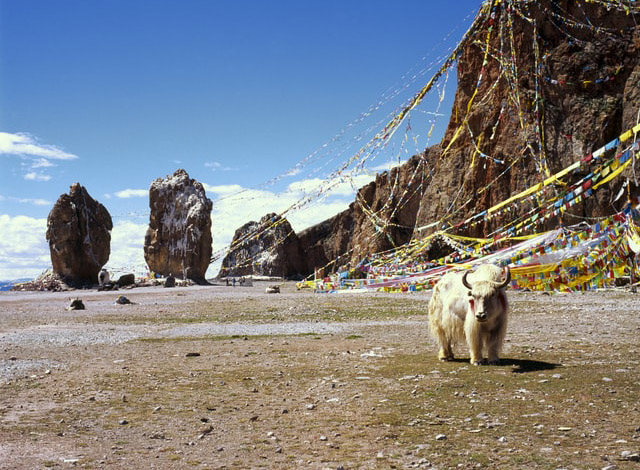 チベットの光 （2） 餓えと寒さ