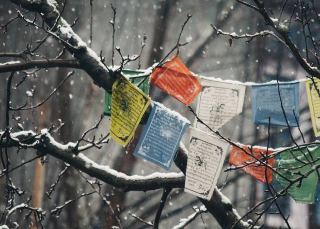 チベットの光 （6） 報復の決意【伝統文化】