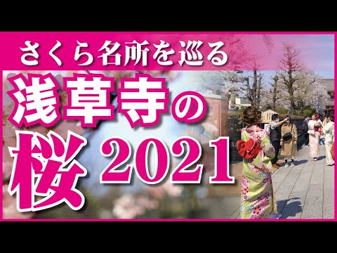 さくら名所を巡る2021　淺草寺の桜