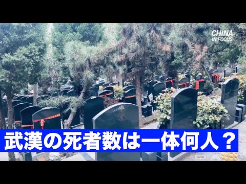 お墓参りの人波から垣間見える武漢の中共ウイルス●者数