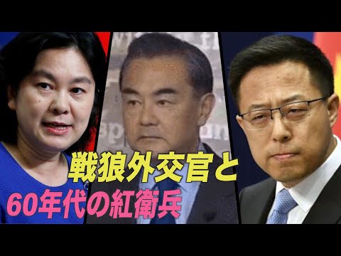 中共の戦狼外交官と文革時の紅衛兵