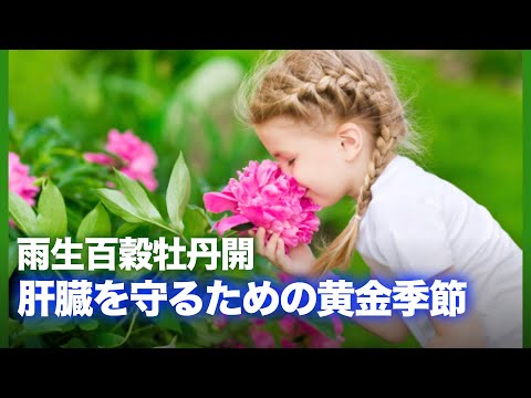 春が終わりに近づくと、4月20日には「雨があらゆる穀物を生み出す」という意味の「穀雨」が始まります
