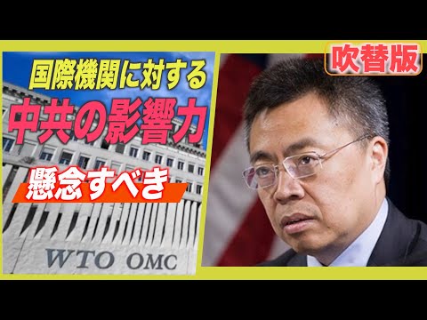 懸念すべき国際機関に対する中共の影響力