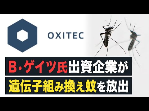 【FactsMatter】B・ゲイツ氏出資企業　遺伝子組み換え蚊を放出