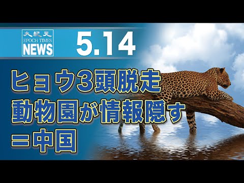 ヒョウ3頭脱走　動物園が情報隠す＝中国