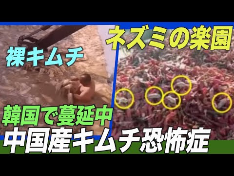 韓国で「中国産キムチ恐怖症」が蔓延　輸入量が３割減【禁聞】