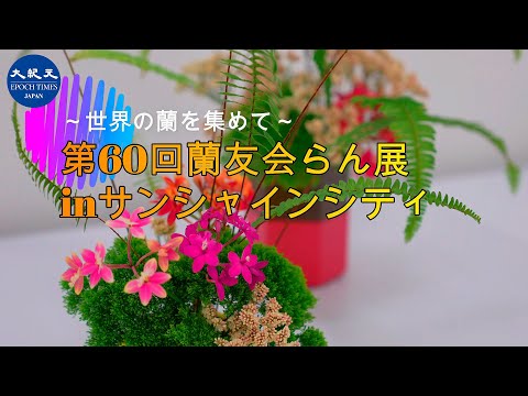 夏季としては日本最大級となる蘭の展示会「第60回蘭友会らん展inサンシャインシティ ～世界の蘭を集めて～」