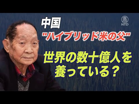 水稲研究の権威・袁隆平氏を批判したネットユーザーを逮捕 権威の利用図りたい中共