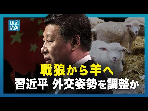 【遠見快評】戦狼から羊へ 習近平　外交姿勢を調整か　今度はファウチ所長の「メールゲート」？米国立アレルギー感染症研究所（NIH）のファウチ所長が今、大変なこと