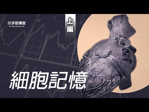 【小宇宙】　知られていなかった記憶転移の話｜上編【都市伝説】