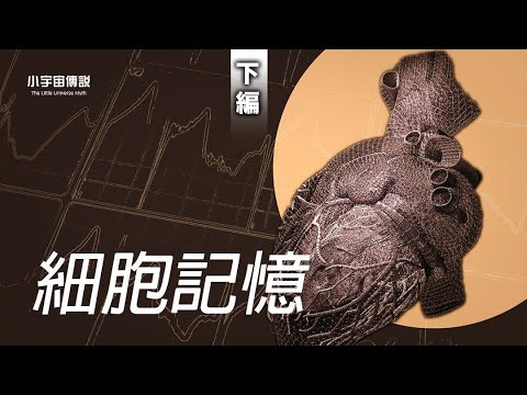 【小宇宙】　知られていなかった記憶転移の話｜下編【都市伝説】