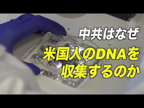 中共はなぜ米国民のDNAを収集するのか？ 収集の方法とは