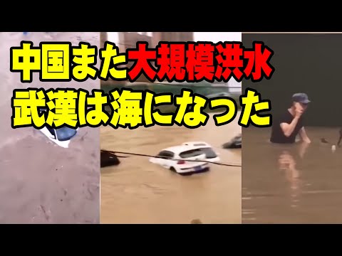 中国南方の多くの省は暴雨に見舞われ、洪水の被害に遭い。武漢市では市内のあちらこちらで浸水がひどく、「武漢で海を見る」