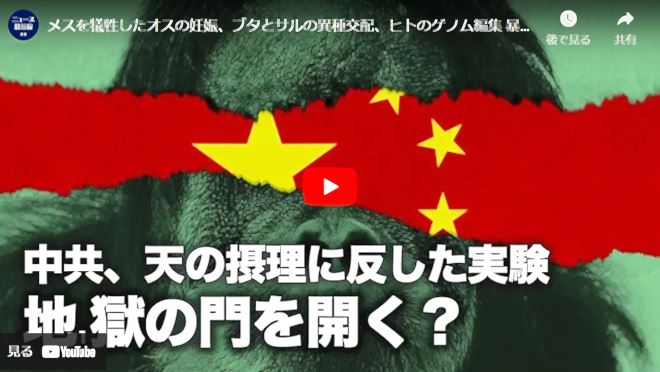 メスを犠牲したオスの妊娠、ブタとサルの異種交配、ヒトのゲノム編集 暴走する中共の生物実験【動画】