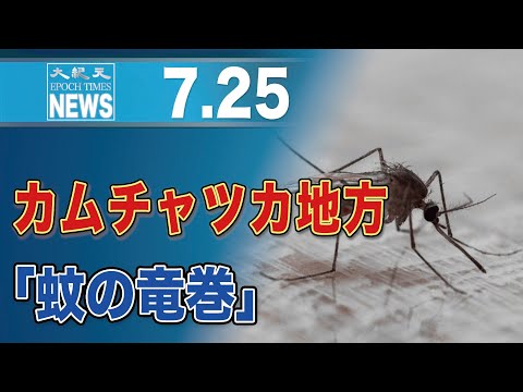 ロシアのカムチャッカ地方、身の毛もよだつ「蚊の竜巻」大量発生