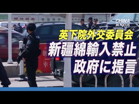 英下院外交委員会 政府に新疆綿の輸入禁止提言 ウイグル問題で「より強力な対応措置必要」