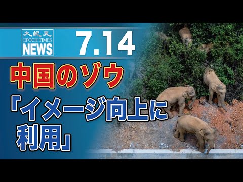 中国、放浪続くゾウの群れ　豪専門家「イメージ向上のために利用されている」
