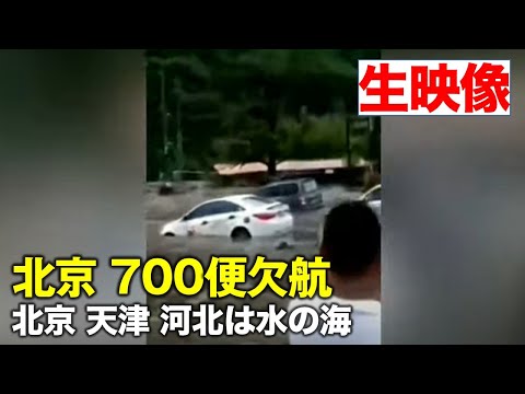 【新視点ニュース】中国各地で大雨による災害が相次ぐ