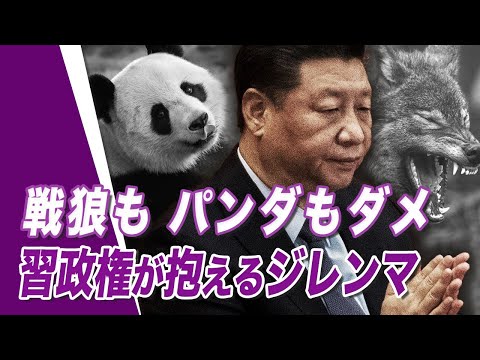 【 唐浩視界】戦狼もパンダもダメ　習政権が抱えるジレンマ