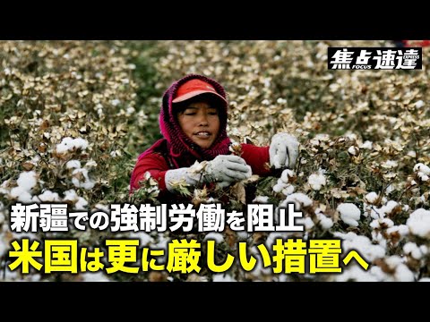 【焦点速達】中共の「強制労働」の阻止が米中貿易の最重要事項に 米国は中国の強制労働製品をボイコットする取り組みを強化