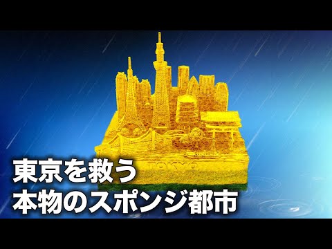 東京を救った地下宮殿 本物の「スポンジ都市」とは？