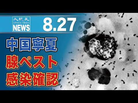中国、西北部の寧夏で腺ペスト感染者1人を確認　病院や集合住宅を封鎖