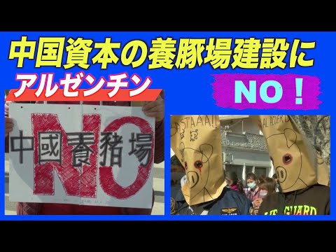 アルゼンチンで中国資本の養豚場建設 市民は環境汚染を懸念