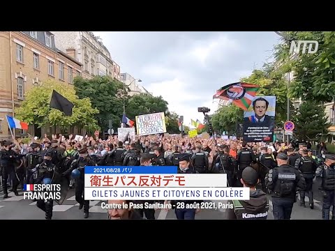 パリ「衛生パス」反対デモ 7週連続での開催(8月28日)