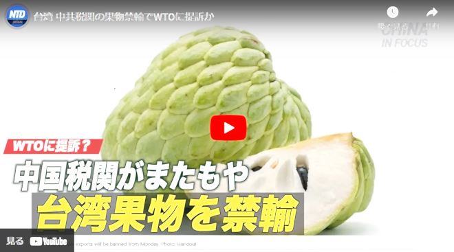 台湾 中共税関の果物禁輸でWTOに提訴か【動画】