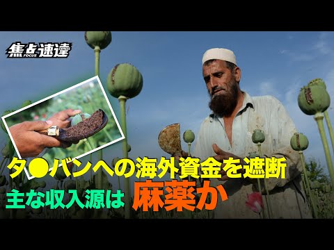 【焦點速遞】アフガニスタンでのヘロインの生産は近年急増し、ア●ン取引は利益を上げている。麻ｘはタリバンにとって重要な収入源であり、これを止めるのは困難