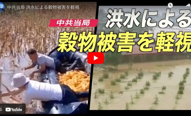 中共当局 洪水による穀物被害を軽視【動画】