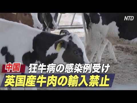 中国 英国産牛肉の輸入禁止 狂牛病の感染例受け