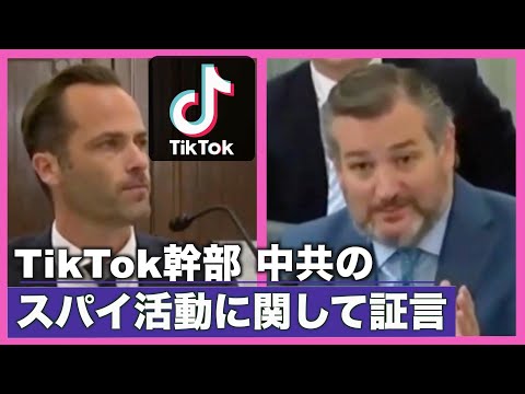 TikTok幹部 中共のスパイ活動に関して証言【動画】
